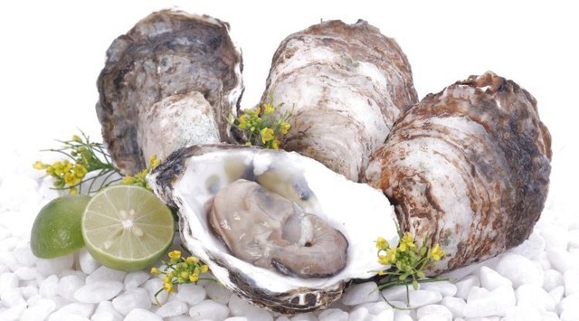 Những thực phẩm dễ gây ngộ độc, cách sử dụng an toàn Những thực phẩm dễ gây ngộ độc, cách sử dụng an toàn
