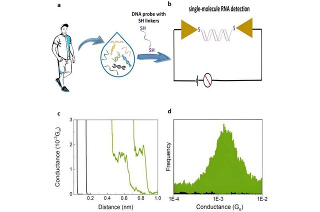 Chỉ dấu sinh học ở cấp độ phân tử RNA giúp phát hiện sớm nhiều loại ung thư
