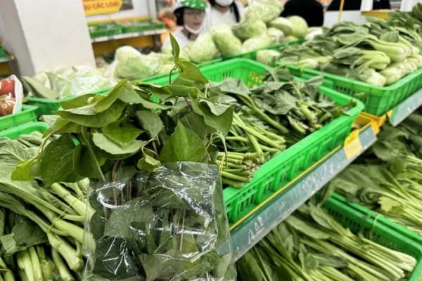 Bạn cần bao nhiêu chất xơ mỗi ngày?