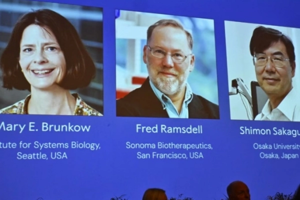 Khám phá tế bào T - công trình giúp ba nhà khoa học giành Nobel Y Sinh 2025