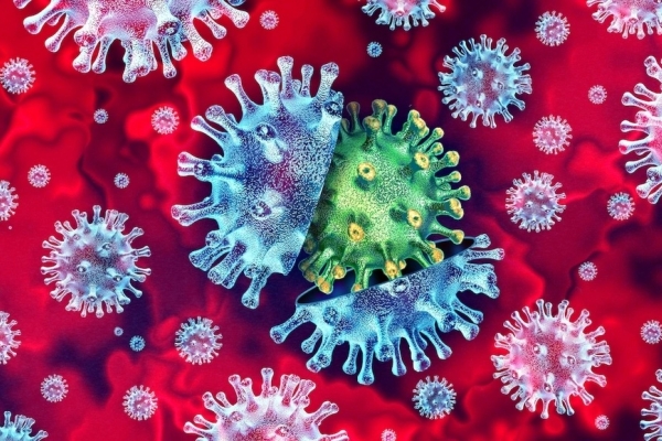 Vaccine cúm mùa 2026 và sự biến đổi của virus cúm: Những thông tin cần biết